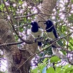 Photo taken by Todd M