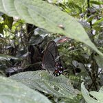 Photo taken by Robert M