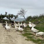 Photo taken by Shannon S