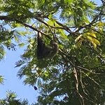 Photo taken by Kim L