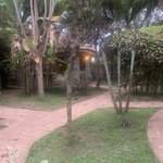 Photo taken by Kristin M