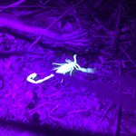 Photo taken by Khaled S