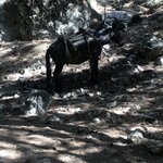 Photo taken by Lori H