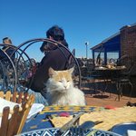 Photo taken by Maria R