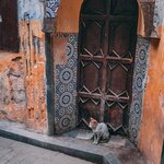 Photo taken by Kassie R