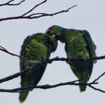 Photo taken by Brett F