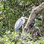 Photo taken by Tom K