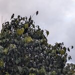 Photo taken by Jacob S