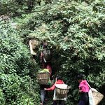 Photo taken by Terje R