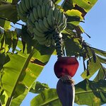 Photo taken by Rob C