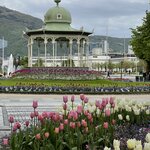 Photo taken by Susan K