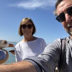 Photo taken by Paul M