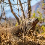 Photo taken by Uriah C