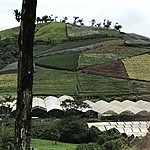 Photo taken by Michelle D