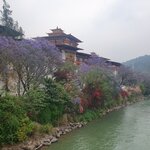 Photo taken by Jane G