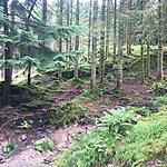 Photo taken by Katie D