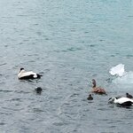 Photo taken by Marsha B