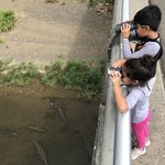 Explorers | Photo taken by Nitin A