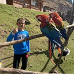 Photo taken by martin M