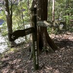 Photo taken by Daniel D