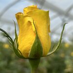 Photo taken by Randy H