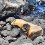 Photo taken by Debby D