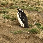 Photo taken by John L