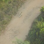 Photo taken by Linette B