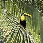 Photo taken by Cara A