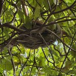 Photo taken by Chris H