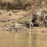 Photo taken by Anna L