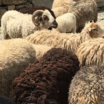 Photo taken by alton r