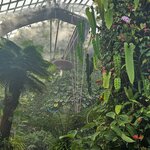 Photo taken by Sabiha K