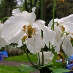 Photo taken by Eliza M