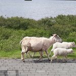 Photo taken by Denise H