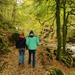 Photo taken by Danielle P