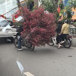 Photo taken by sandi l