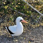 Photo taken by Maggie K