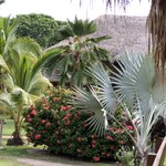 Photo taken by Juliette S