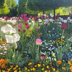 Photo taken by Sylvia S