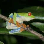 Photo taken by Patrice G