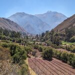 Photo taken by Erica A