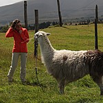 Photo taken by Marcia G