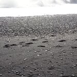 Photo taken by Gary B