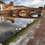 Photo taken by Shannon S