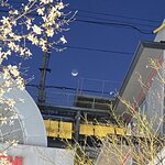 Photo taken by Arlan W