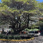 Photo taken by Charles H