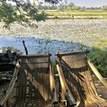 Photo taken by shelly s