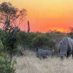 Photo taken by Tom B