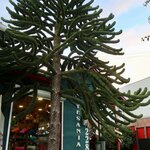 Photo taken by Joe S